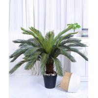 uploads/erp/collection/images/Home Garden/dgjiawang/XU0612768/img_b/XU0612768_img_b_4